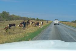 Namibia1 (6)